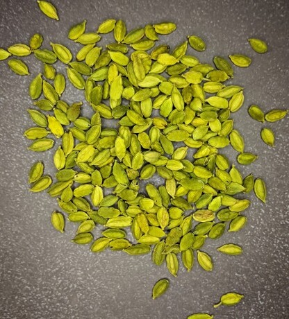 CARDAMOM 3.jpg